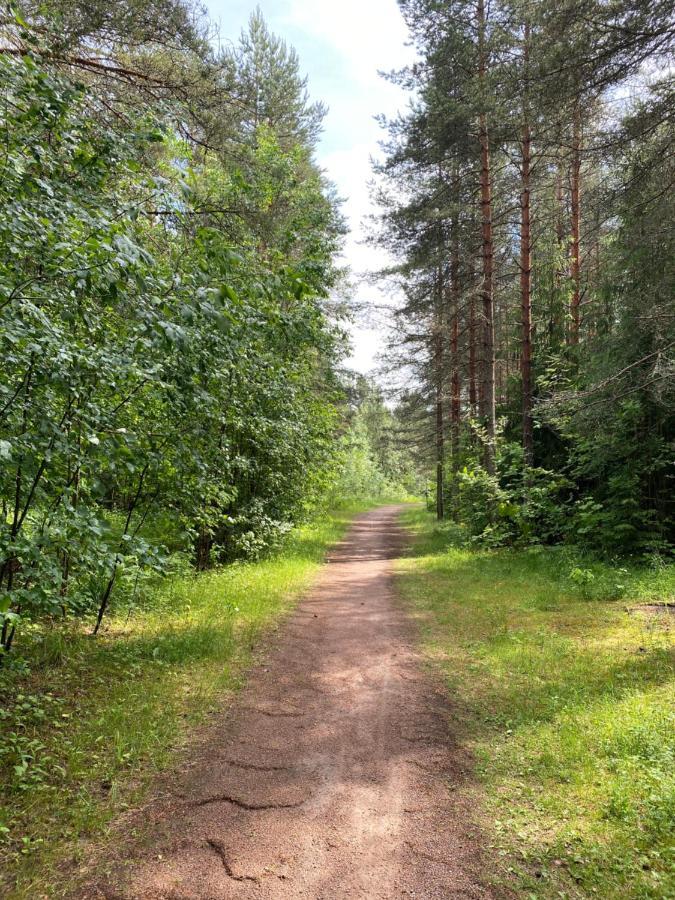 Myllykoski Apart Ummeljoki Exteriér fotografie